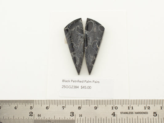 Black Petrified Palm Pairs
