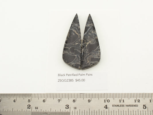 Black Petrified Palm Pairs
