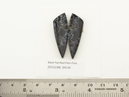 Black Petrified Palm Pairs