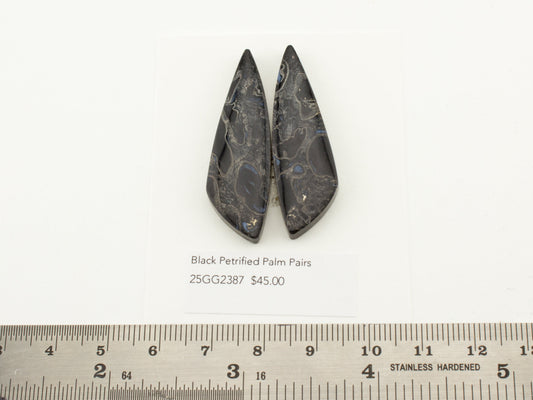 Black Petrified Palm Pairs