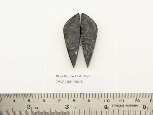 Black Petrified Palm Pairs