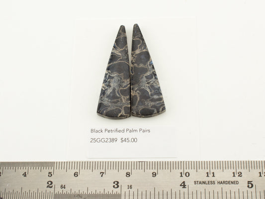 Black Petrified Palm Pairs