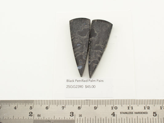 Black Petrified Palm Pairs