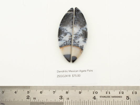 Dendritic Mexican Agate Pairs