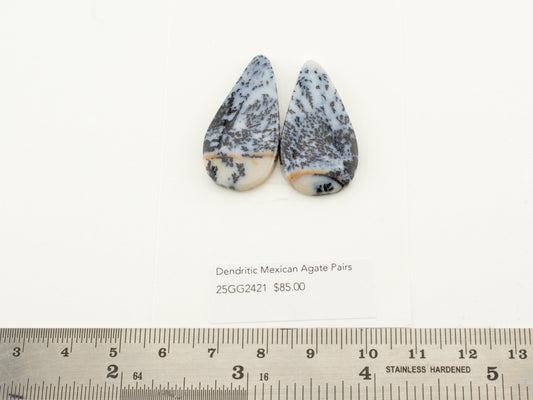 Dendritic Mexican Agate Pairs