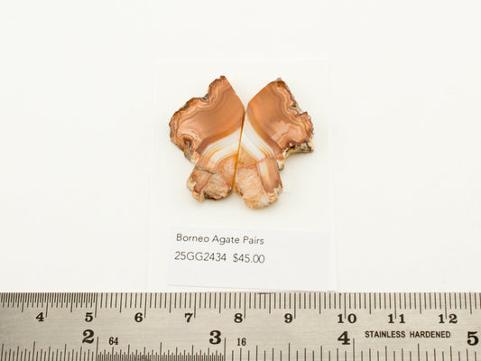 Borneo Agate Pairs