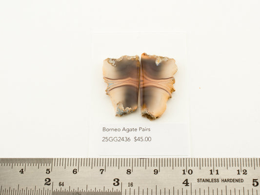 Borneo Agate Pairs