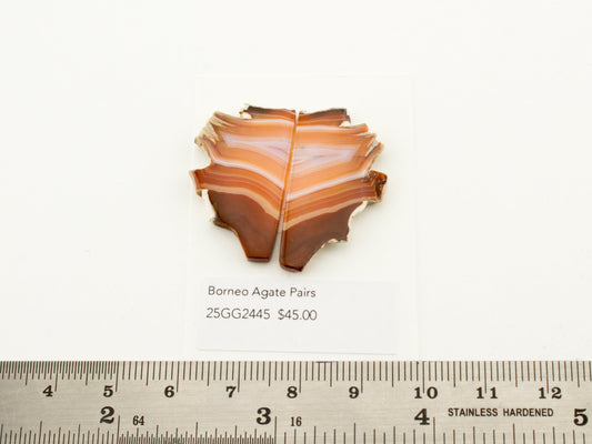 Borneo Agate Pairs