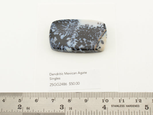 Dendritic Mexican Agate Singles