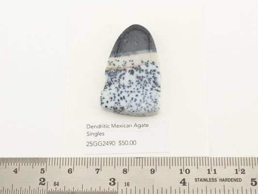 Dendritic Mexican Agate Singles