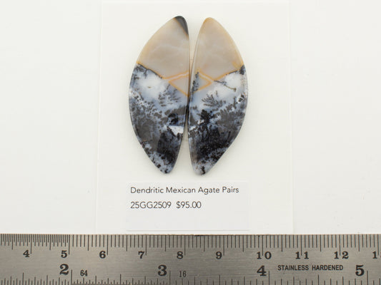 Dendritic Mexican Agate Pairs
