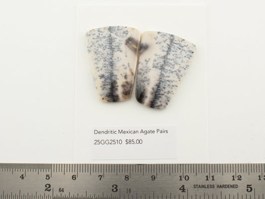 Dendritic Mexican Agate Pairs