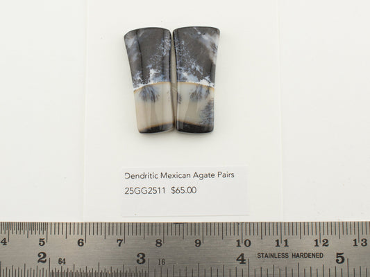 Dendritic Mexican Agate Pairs
