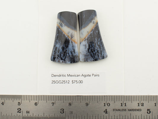 Dendritic Mexican Agate Pairs