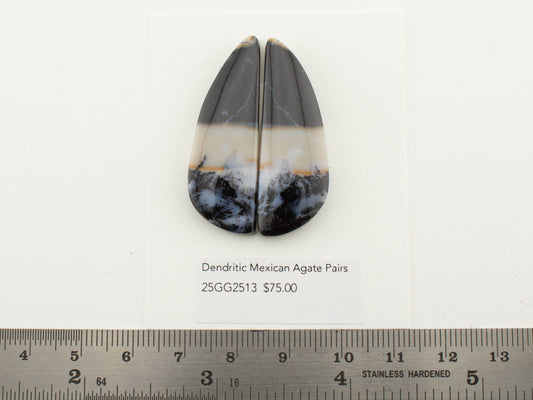 Dendritic Mexican Agate Pairs