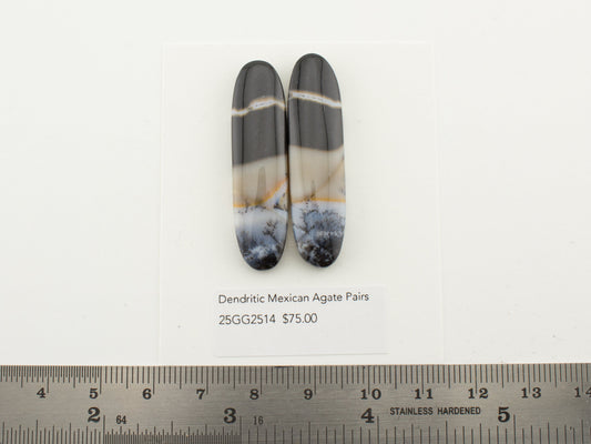 Dendritic Mexican Agate Pairs