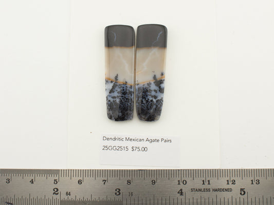 Dendritic Mexican Agate Pairs