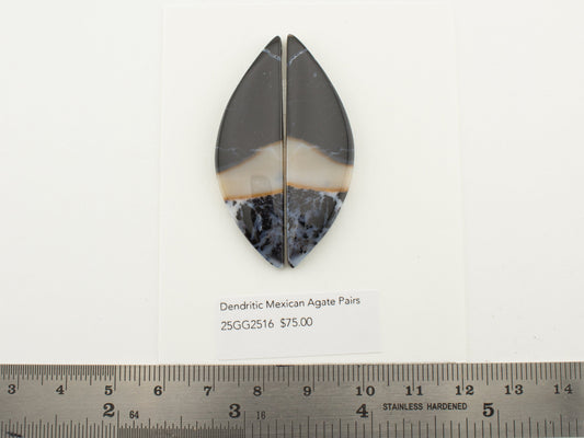 Dendritic Mexican Agate Pairs