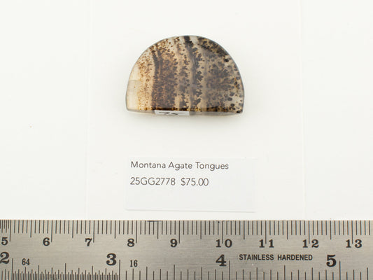 Montana Agate Tongues