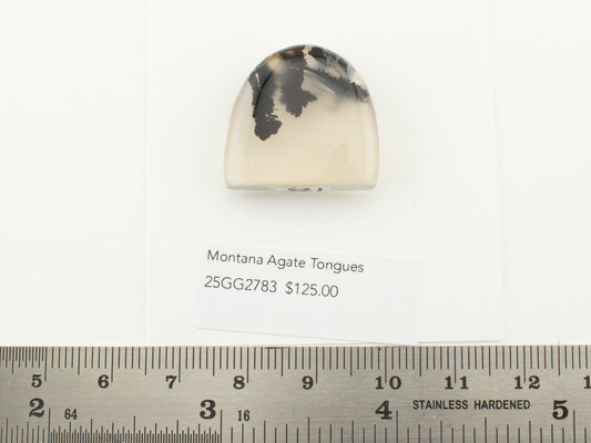 Montana Agate Tongues