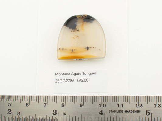 Montana Agate Tongues