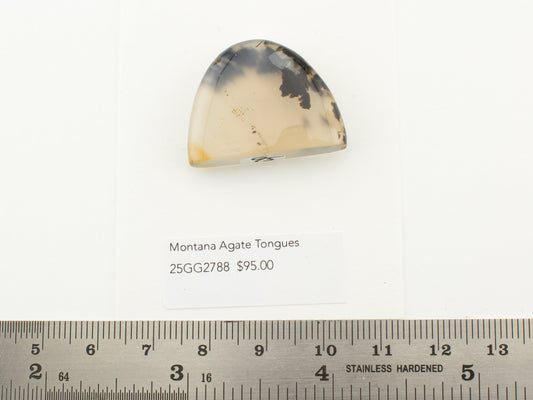 Montana Agate Tongues