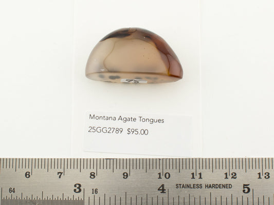 Montana Agate Tongues