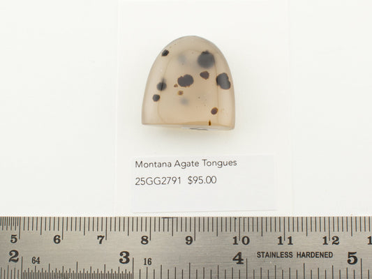 Montana Agate Tongues