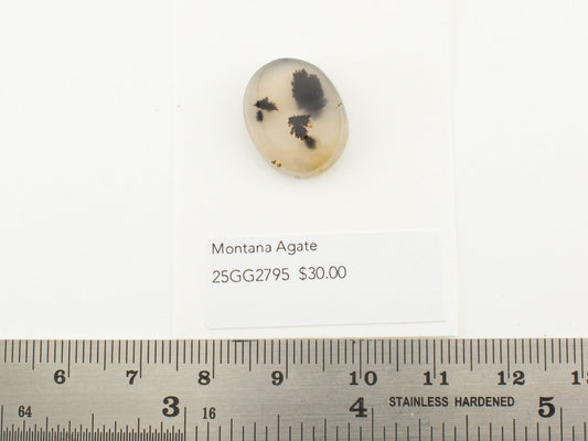 Montana Agate