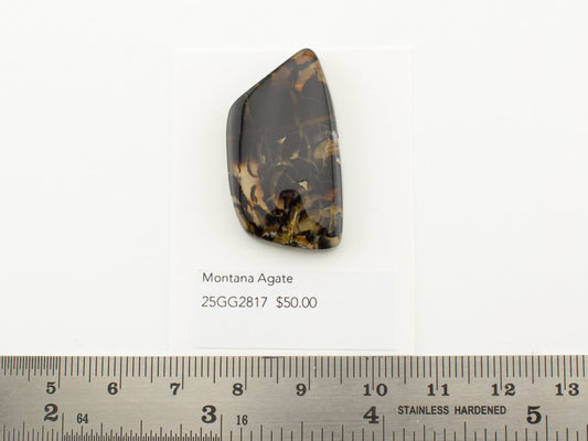 Montana Agate