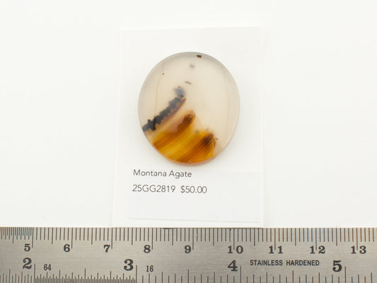 Montana Agate