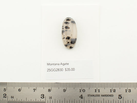 Montana Agate