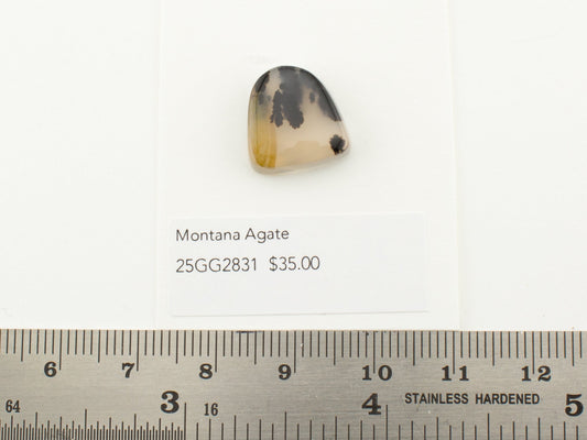 Montana Agate