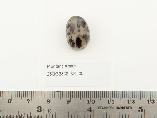Montana Agate