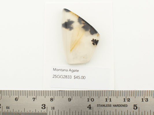 Montana Agate