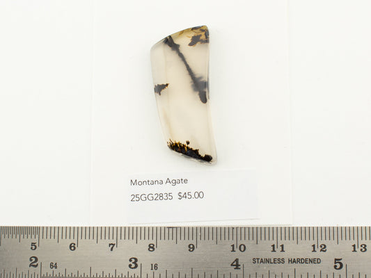 Montana Agate