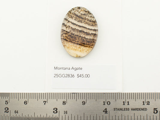Montana Agate