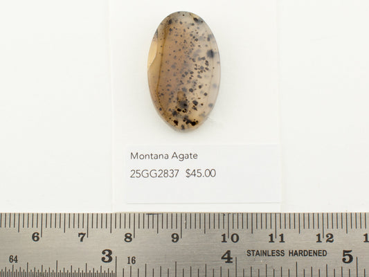 Montana Agate