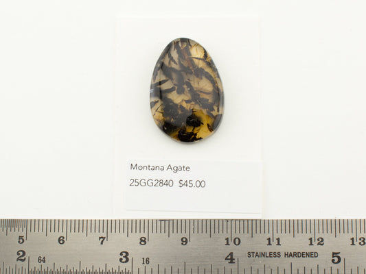 Montana Agate