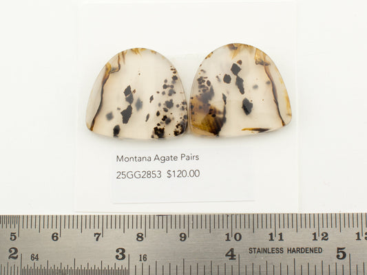 Montana Agate Pairs