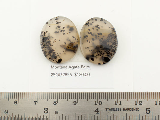 Montana Agate Pairs