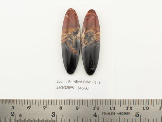Scenic Petrified Palm Pairs