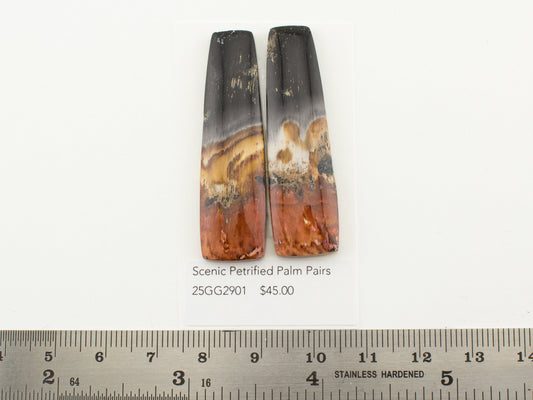 Scenic Petrified Palm Pairs
