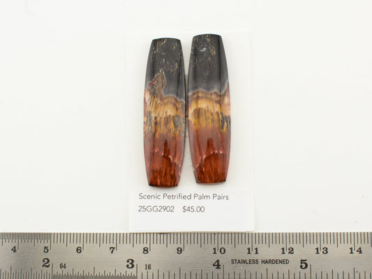 Scenic Petrified Palm Pairs