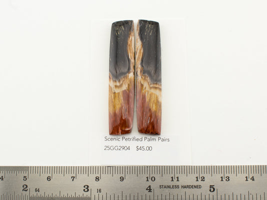 Scenic Petrified Palm Pairs