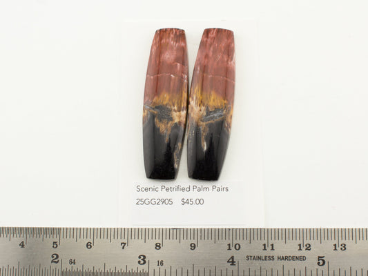 Scenic Petrified Palm Pairs