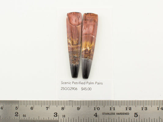 Scenic Petrified Palm Pairs