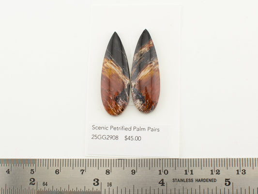 Scenic Petrified Palm Pairs