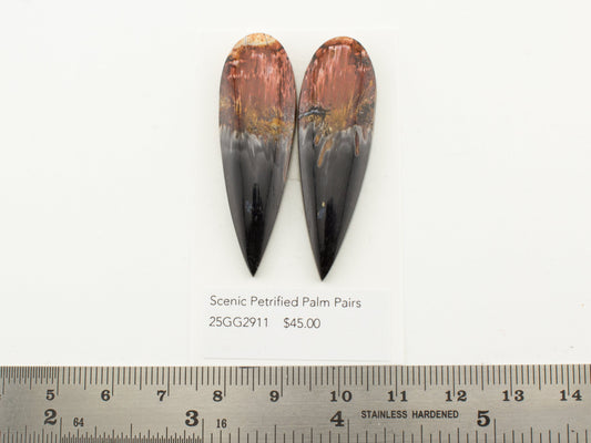 Scenic Petrified Palm Pairs
