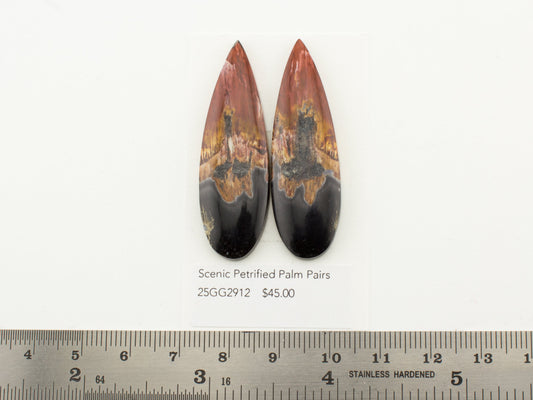 Scenic Petrified Palm Pairs
